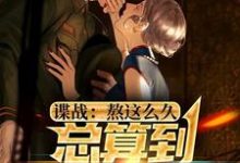 已完结小说《谍战：熬这么久，总算到美人计了》最新章节-够力荐小说推荐网