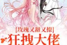 祁姝祁斯吟小说完结版在线阅读,玫瑰又甜又撩,狂拽大佬只想要名分免费看-够力荐小说推荐网
