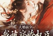 大婚前夕，我被病娇权臣强取豪夺了小说的最新章节在哪里更新？免费追踪阅读-够力荐小说推荐网
