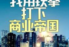兵王入红尘:我用铁拳打下商业帝国小说,兵王入红尘:我用铁拳打下商业帝国最新章节-够力荐小说推荐网