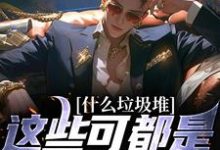 什么垃圾堆？这些可都是科技神器！（程乞）在线免费阅读-够力荐小说推荐网