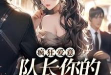 疯狂爱意：队长你的媳妇跑路啦秦凛杨婂小说免费阅读-够力荐小说推荐网