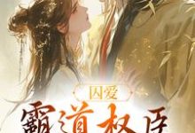 囚爱,霸道权臣诱娇婢女这本小说完结了吗?免费查看最新章节-够力荐小说推荐网