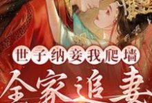 盛知婉商行聿小说完结版在线阅读，世子纳妾我爬墙，全家追妻悔断肠免费看-够力荐小说推荐网