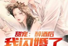 甜宠:醉酒后,我闪婚了千金总裁林南小说大结局免费试读-够力荐小说推荐网