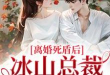 完结版《离婚死盾后，冰山总裁哭崩了》章节目录在线阅读-够力荐小说推荐网