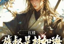 红楼：族叔是林如海，在线当大佬林民意林黛玉在线章节免费阅读-够力荐小说推荐网