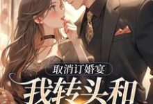小说《取消订婚宴,我转头和别人领证》在线章节阅读-够力荐小说推荐网