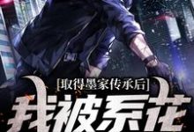 取得墨家传承后,我被系花盯上了小说全文阅读需要付费吗?寻找免费资源-够力荐小说推荐网