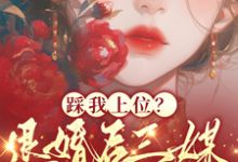 踩我上位?退婚后三媒六聘嫁他哥小说完结了吗?在哪里可以免费读到?-够力荐小说推荐网