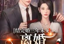 结完婚三年未见，离婚他急红眼最新章节，结完婚三年未见，离婚他急红眼章节在线阅读-够力荐小说推荐网