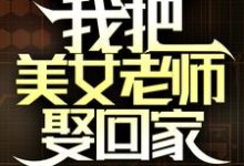 国家分配婚姻，我把美女老师娶回家叶尘小说免费阅读-够力荐小说推荐网