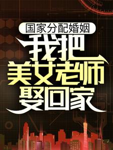叶尘小说国家分配婚姻，我把美女老师娶回家章节免费阅读