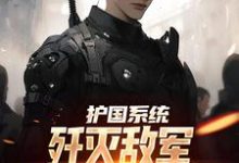 护国系统:歼灭敌军我一拳就搞定最新章节,护国系统:歼灭敌军我一拳就搞定免费阅读-够力荐小说推荐网