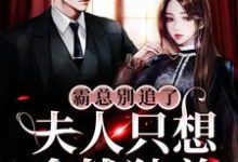 已完结小说《霸总别追了,夫人只想拿钱独美》章节在线阅读-够力荐小说推荐网