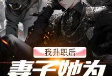 我升职后,妻子她为何不开心?(许晨周心怡)在线免费阅读-够力荐小说推荐网