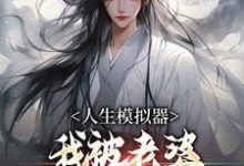人生模拟器：我被老婆逼成世间极境免费阅读，人生模拟器：我被老婆逼成世间极境白棋-够力荐小说推荐网