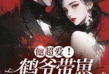 他超爱！鹤爷带崽上门求名分免费阅读，他超爱！鹤爷带崽上门求名分章节目录-够力荐小说推荐网