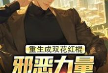 重生成双花红棍，邪恶力量颤抖吧！这本小说在哪里可以看？哪里有免费试读章节？-够力荐小说推荐网