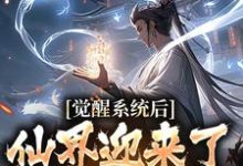 觉醒系统后，仙界迎来了互联网时代免费阅读，觉醒系统后，仙界迎来了互联网时代章节在线阅读-够力荐小说推荐网