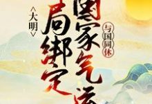 大明:开局绑定国家气运,与国同休这本小说怎么样?免费在线阅读试试-够力荐小说推荐网