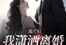 流产后我潇洒离婚，渣总悔哭了这本小说怎么样？免费在线阅读试试-够力荐小说推荐网