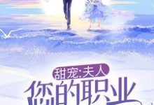 甜宠:夫人,您的职业操守呢!小说完结版章节免费阅读-够力荐小说推荐网