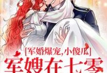 《军婚爆宠，小傻瓜军嫂在七零赢麻了》小说许烟宋言彻章节章节免费在线阅读-够力荐小说推荐网