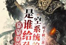 《靠靠靠靠!是谁给孙悟空系统的?》全集免费在线阅读(楚一孙悟空)-够力荐小说推荐网