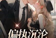 偏执沉沦：学长，晚上见小说的免费阅读版本在哪里可以找到？-够力荐小说推荐网