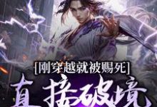 刚穿越就被赐死,直接破境陆地神仙这本小说在哪里可以看?哪里有免费试读章节?-够力荐小说推荐网