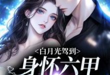 完结版《白月光驾到身怀六甲,京圈炸燃了》章节阅读-够力荐小说推荐网