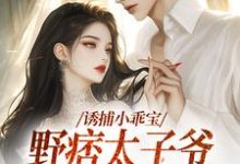 小说《诱捕小乖宝，野痞太子爷强势攻陷》在线章节阅读-够力荐小说推荐网