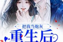 完整版的把我当炮灰?重生后我让你哭小说在哪里可以免费读到?-够力荐小说推荐网