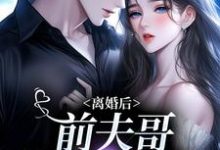 离婚后,前夫哥苦等我回头小说最新更新在哪里?免费在线看-够力荐小说推荐网
