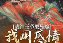 苏婉清陆少卿小说叫什么(战神王爷要坠魔,我用感情拯救他免费阅读)-够力荐小说推荐网