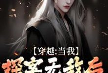 穿越：当我探案无敌后，身份被爆了章节免费在线阅读，苏清和完结版-够力荐小说推荐网