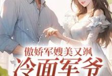 傲娇军嫂美又飒，冷面军爷被拿捏这本小说在哪里可以看？哪里有免费试读章节？-够力荐小说推荐网