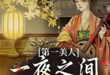 在线寻找第一美人,一夜之间沦为笑柄小说的无删减版本-够力荐小说推荐网