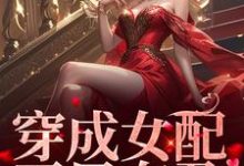 叶昭沈度小说穿成女配,开局有孕在线阅读章节-够力荐小说推荐网