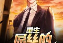 在线寻找重生：屌丝的逆袭之路小说的无删减版本-够力荐小说推荐网