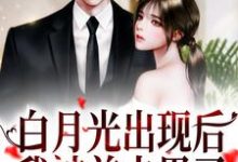 完结版《白月光出现后，我被前夫甩了》章节阅读-够力荐小说推荐网