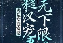 逃荒女变富婆:糙汉宠妻无下限?苏晚晚沈渊小说在线章节免费阅读-够力荐小说推荐网