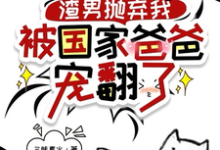 《渣男抛弃我,被国家爸爸宠翻了》小说大结局免费试读 龙沅沅小说-够力荐小说推荐网