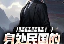 哇哇哇哇！身处民国的我变大佬小说，哇哇哇哇！身处民国的我变大佬在线阅读-够力荐小说推荐网