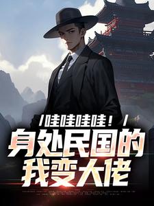 哇哇哇哇！身处民国的我变大佬小说，哇哇哇哇！身处民国的我变大佬在线阅读