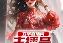 玄学直播间:主播是合约老公苏晨,玄学直播间:主播是合约老公小说免费阅读-够力荐小说推荐网