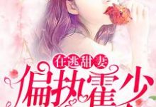 苏绵绵霍司衍小说在逃甜妻:偏执霍少放肆宠在线阅读-够力荐小说推荐网
