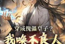 《穿成傀儡皇子？我唤不良人夺证权！》小说赵尘章节章节免费在线阅读-够力荐小说推荐网