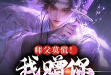 师父莫慌！我赠你系统杀敌小说有没有完结版在线？-够力荐小说推荐网